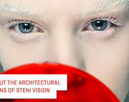 STENI VISION